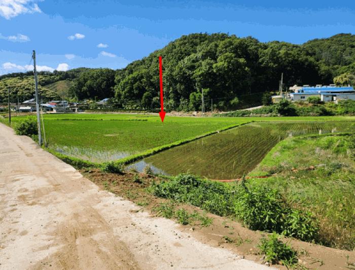 충청북도 충주시 대소원면 완오리 663-9 임야 경매 사진 5