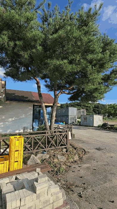 충청북도 제천시 고암동 111-5 공장 경매 사진 6