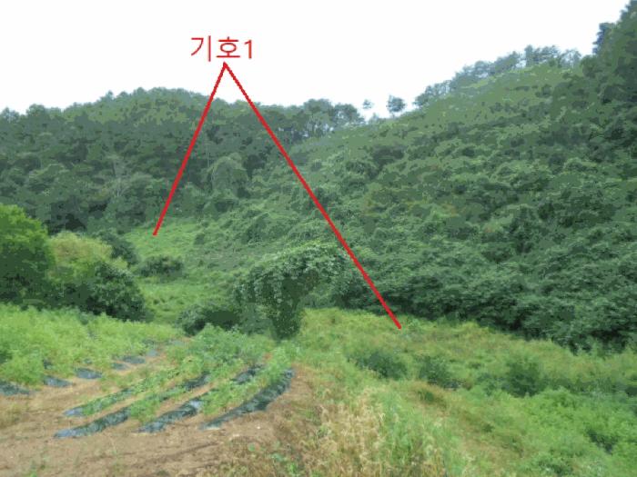 충청북도 제천시 금성면 대장리 249 전 경매 사진 2
