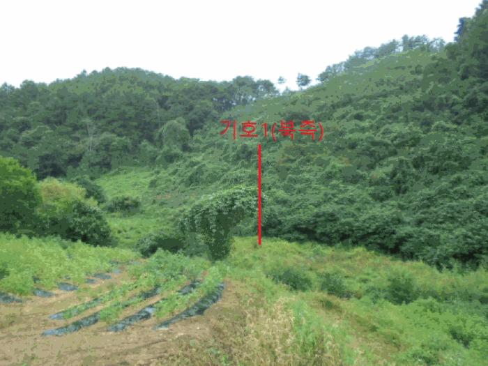 충청북도 제천시 금성면 대장리 249 전 경매 사진 3