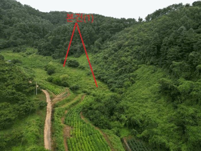 충청북도 제천시 봉양읍 명도리 95-8 전 경매 사진 1