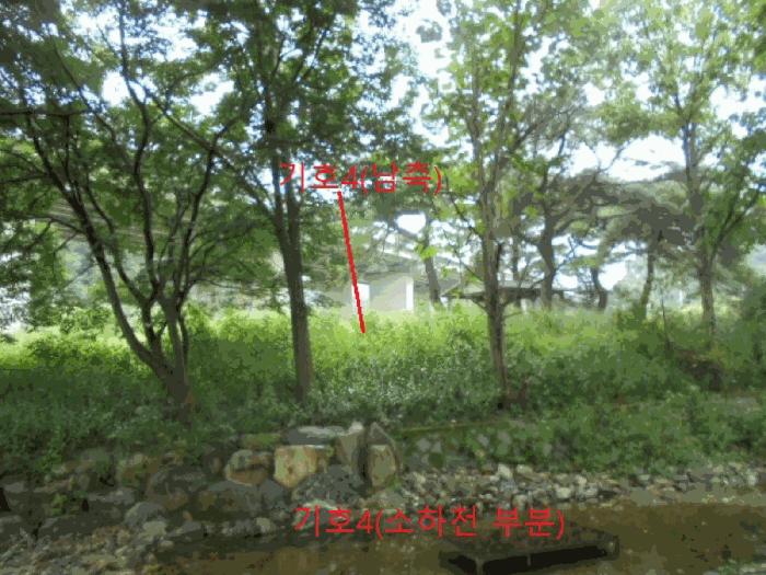 충청북도 제천시 봉양읍 명도리 95-8 전 경매 사진 10