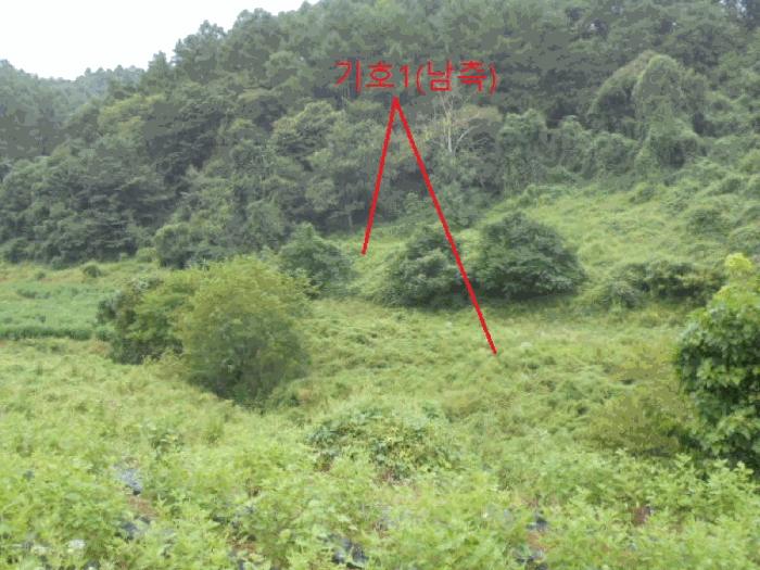 충청북도 제천시 봉양읍 명도리 95-8 전 경매 사진 12