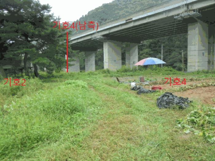 충청북도 제천시 봉양읍 명도리 95-8 전 경매 사진 17
