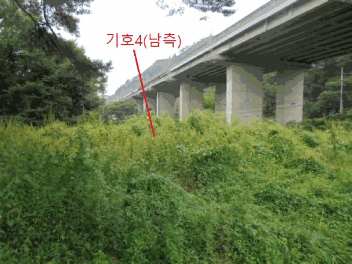 충청북도 제천시 봉양읍 명도리 95-8 전 경매 사진 18