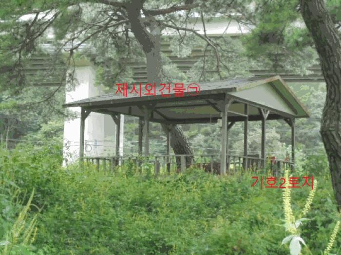 충청북도 제천시 봉양읍 명도리 95-8 전 경매 사진 19