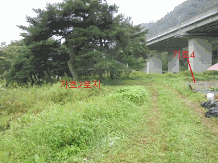 충청북도 제천시 봉양읍 명도리 95-8 전 경매 사진 20