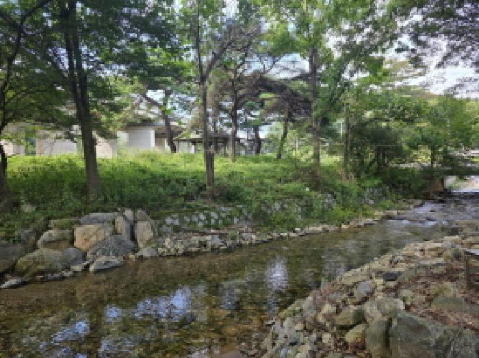 충청북도 제천시 봉양읍 명도리 95-8 전 경매 사진 21