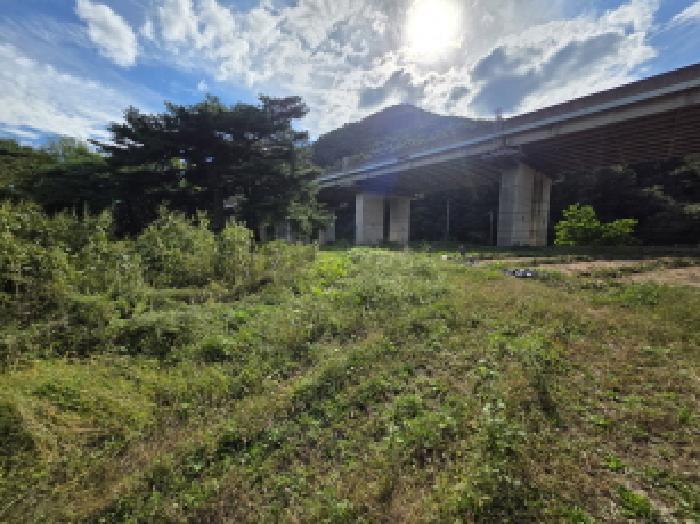 충청북도 제천시 봉양읍 명도리 95-8 전 경매 사진 25