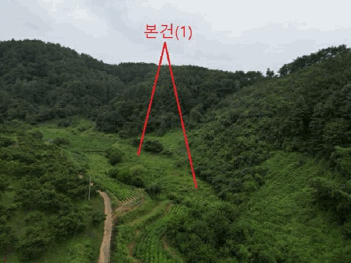 충청북도 제천시 봉양읍 명도리 95-8 전 경매 사진 30