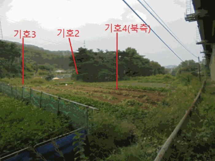 충청북도 제천시 봉양읍 명도리 95-8 전 경매 사진 6