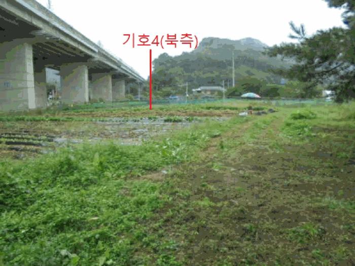충청북도 제천시 봉양읍 명도리 95-8 전 경매 사진 7