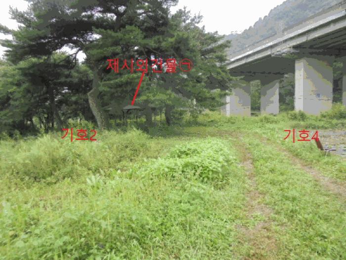 충청북도 제천시 봉양읍 명도리 95-8 전 경매 사진 9