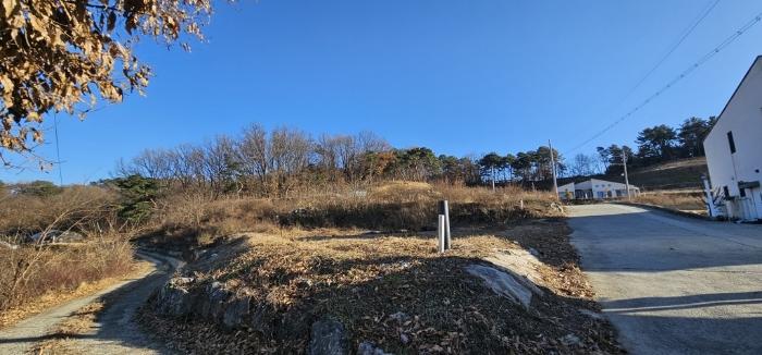 충청남도 논산시 은진면 시묘리 326-2 임야 경매 사진 2