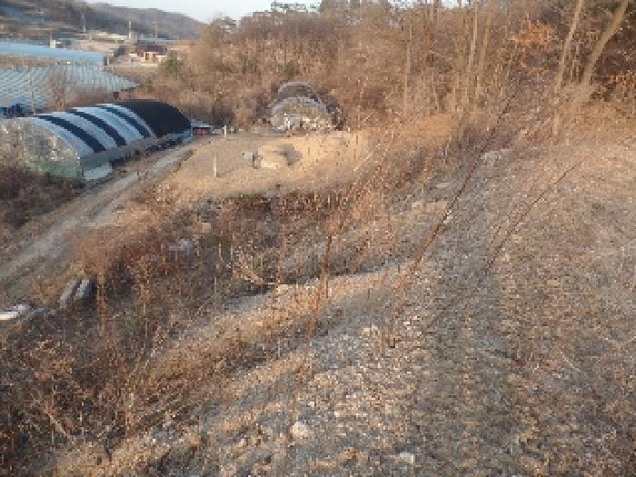 충청남도 논산시 은진면 시묘리 326-2 임야 경매 사진 32