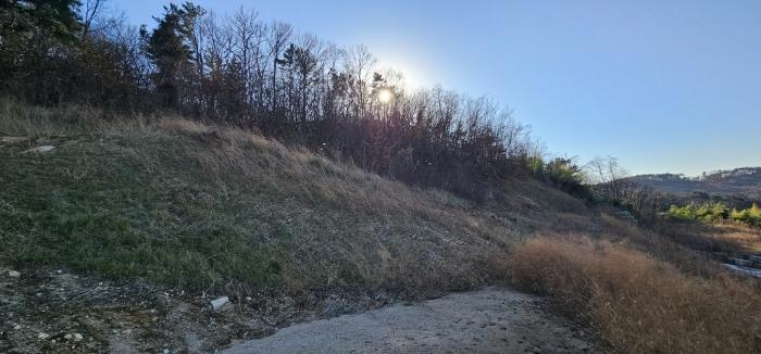충청남도 논산시 은진면 시묘리 326-2 임야 경매 사진 4