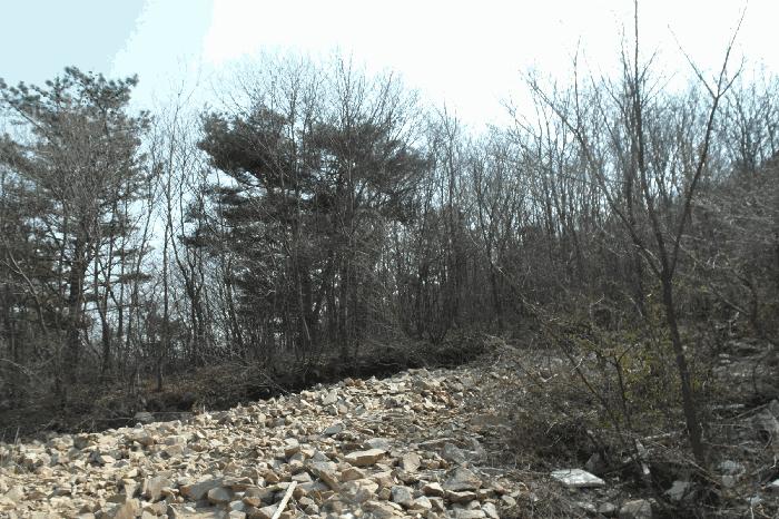 충청남도 논산시 벌곡면 한삼천리 395-6 임야 경매 사진 2