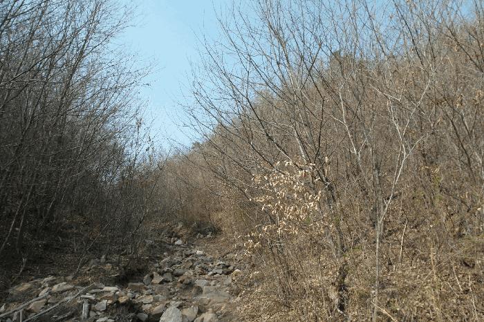 충청남도 논산시 벌곡면 한삼천리 395-6 임야 경매 사진 6