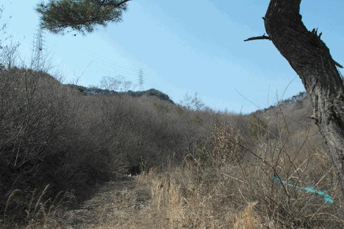 충청남도 논산시 벌곡면 한삼천리 395-6 임야 경매 사진 7