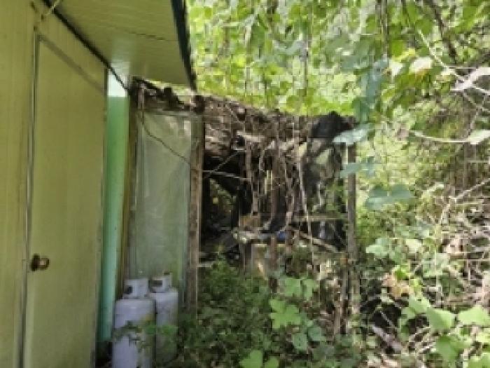 충청북도 단양군 적성면 하리 635 전 경매 사진 16