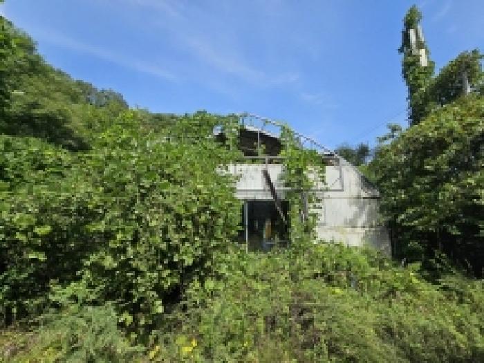 충청북도 단양군 적성면 하리 635 전 경매 사진 20