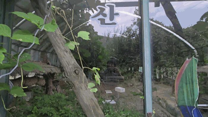 충청북도 단양군 적성면 하리 635 전 경매 사진 3
