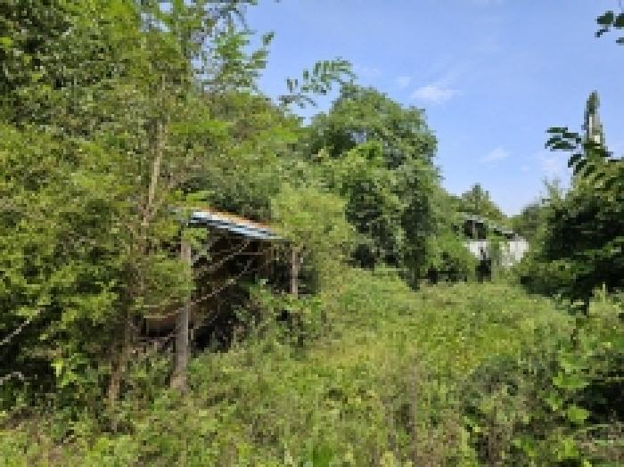 충청북도 단양군 적성면 하리 635 전 경매 사진 8