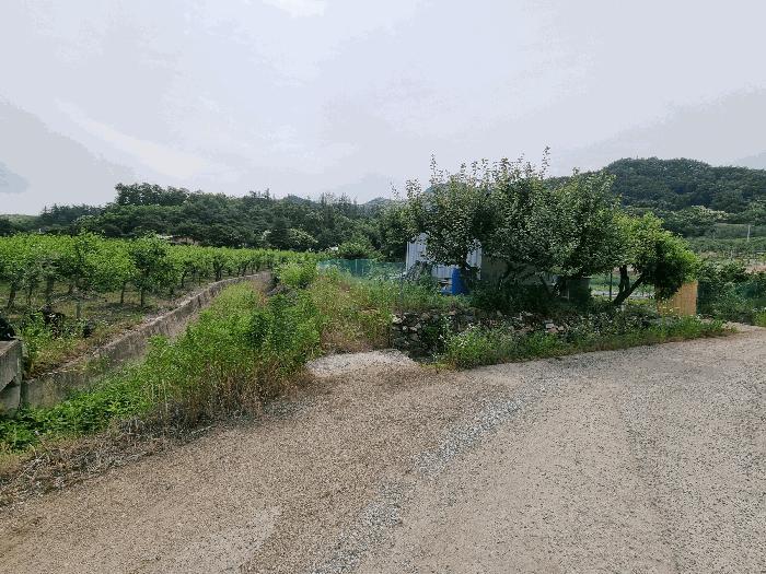 충청북도 충주시 동량면 조동리 847 전 경매 사진 5