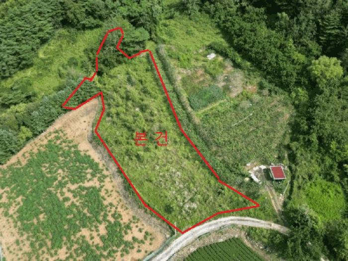 충청북도 제천시 덕산면 신현리 671 전 경매 사진 2