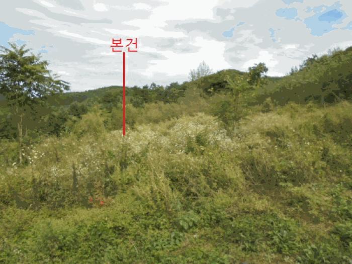충청북도 제천시 덕산면 신현리 671 전 경매 사진 3