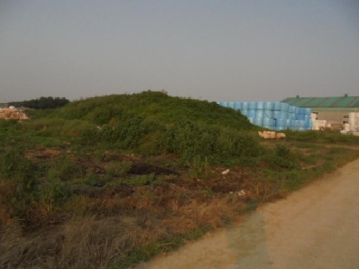 충청남도 부여군 석성면 증산리 695-7 답 경매 사진 3