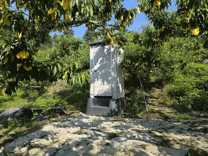 충청북도 충주시 신니면 선당리 511 답 경매 사진 1