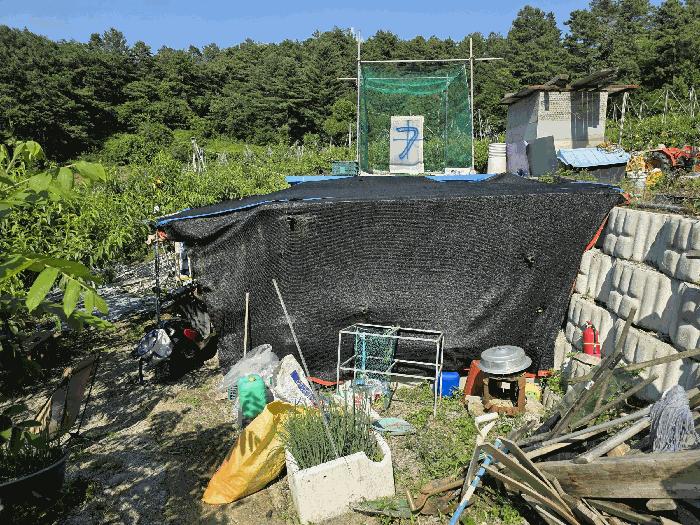 충청북도 충주시 신니면 선당리 511 답 경매 사진 13