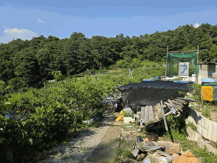 충청북도 충주시 신니면 선당리 511 답 경매 사진 14