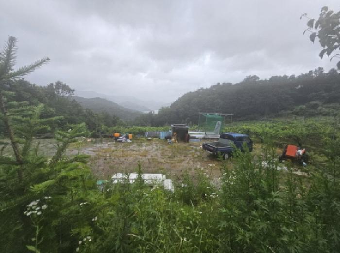 충청북도 충주시 신니면 선당리 511 답 경매 사진 16