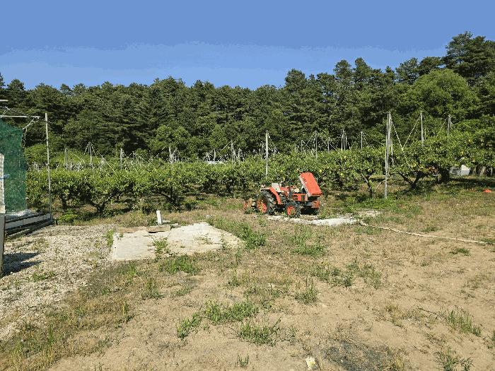 충청북도 충주시 신니면 선당리 511 답 경매 사진 5