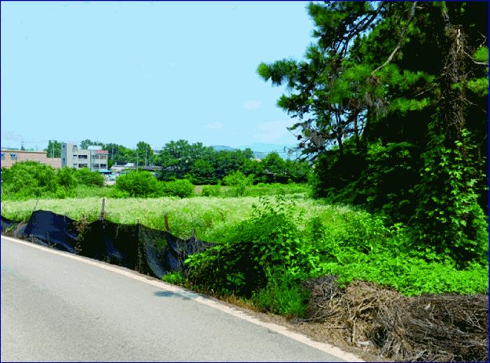 충청남도 논산시 연무읍 마산리 531-2 답 경매 사진 1