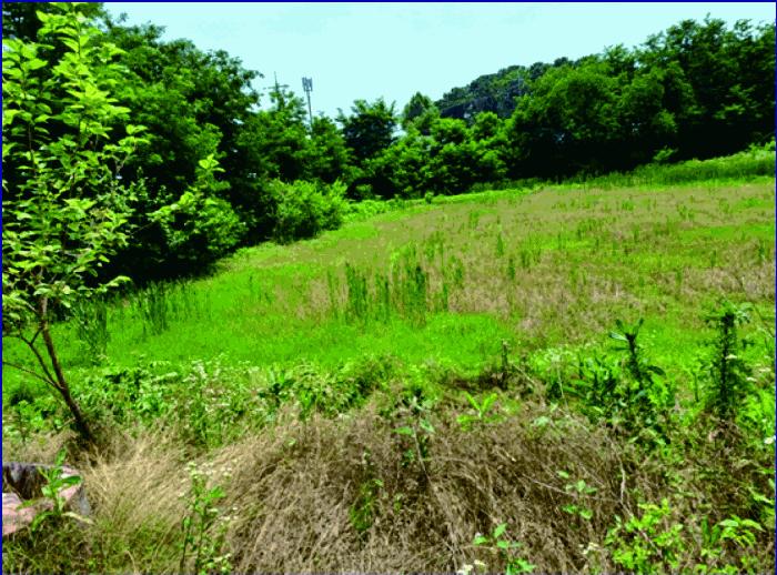충청남도 논산시 연무읍 마산리 531-2 답 경매 사진 2