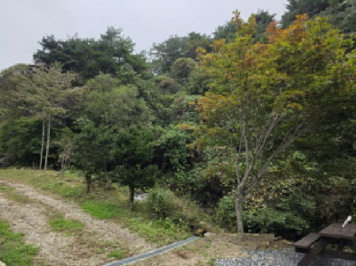 충청북도 제천시 백운면 운학리 757-1 주택 경매 사진 12