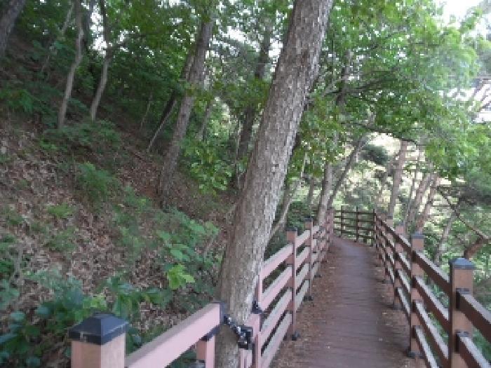전북특별자치도 김제시 금산면 청도리 산354 임야 경매 사진 7