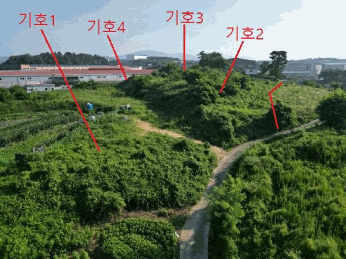 충청북도 음성군 대소면 대풍리 산33-3 임야 경매 사진 2