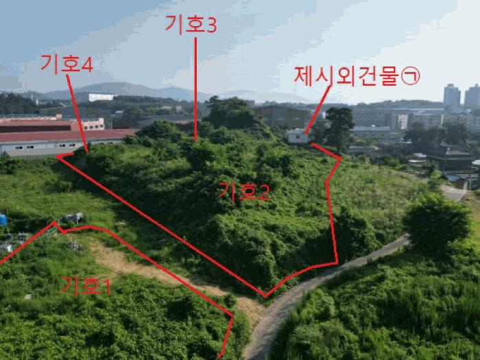 충청북도 음성군 대소면 대풍리 산33-3 임야 경매 사진 4