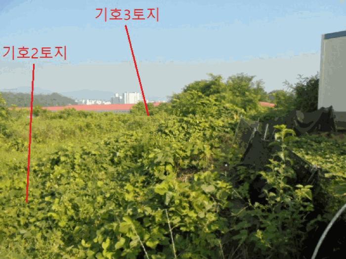 충청북도 음성군 대소면 대풍리 산33-3 임야 경매 사진 7