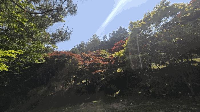 경상남도 사천시 곤명면 삼정리 산37-1 임야 경매 사진 28