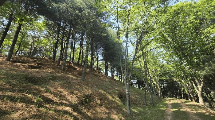 경상남도 사천시 곤명면 삼정리 산40-1 임야 경매 사진 32