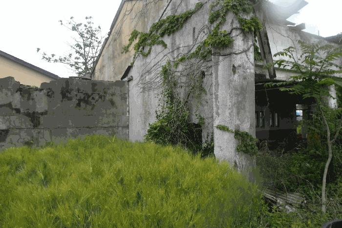 충청남도 부여군 구룡면 논티리 35-1 공장 경매 사진 5