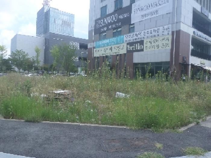 전북특별자치도 전주시 완산구 효자동3가 675-2 답 경매 사진 35