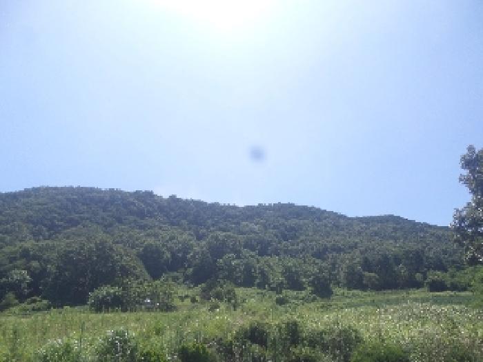 전북특별자치도 전주시 완산구 효자동3가 1645-1 대지 경매 사진 28
