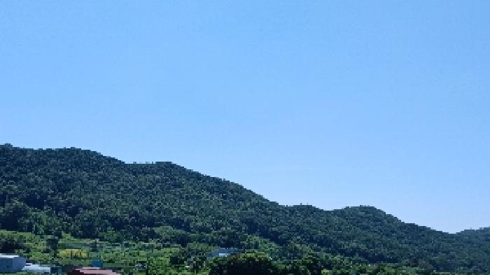 전북특별자치도 전주시 완산구 효자동3가 1645-1 대지 경매 사진 40