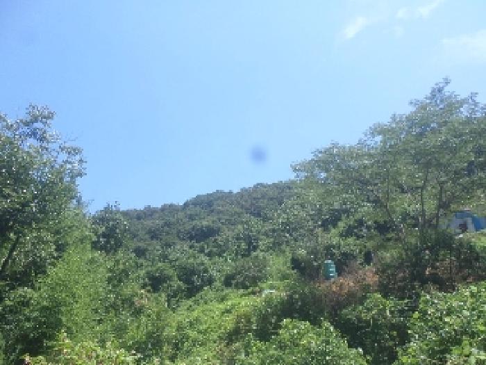 전북특별자치도 전주시 완산구 중화산동2가 746-1 코오롱하늘채아파트 106동 2층 203호 아파트 경매 사진 44